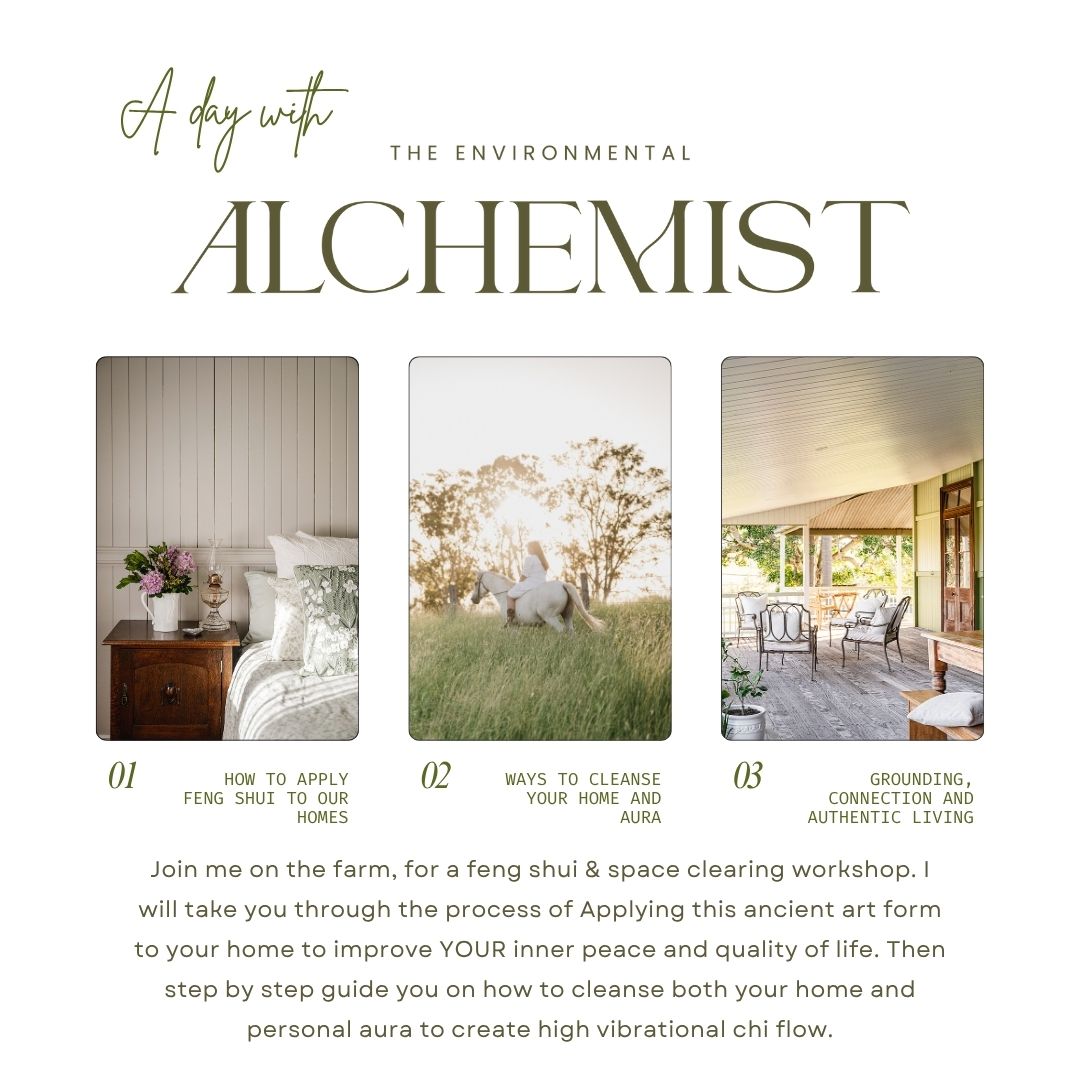 
                  
                    Feng Shui Workshop I 22 Feb 2026
                  
                