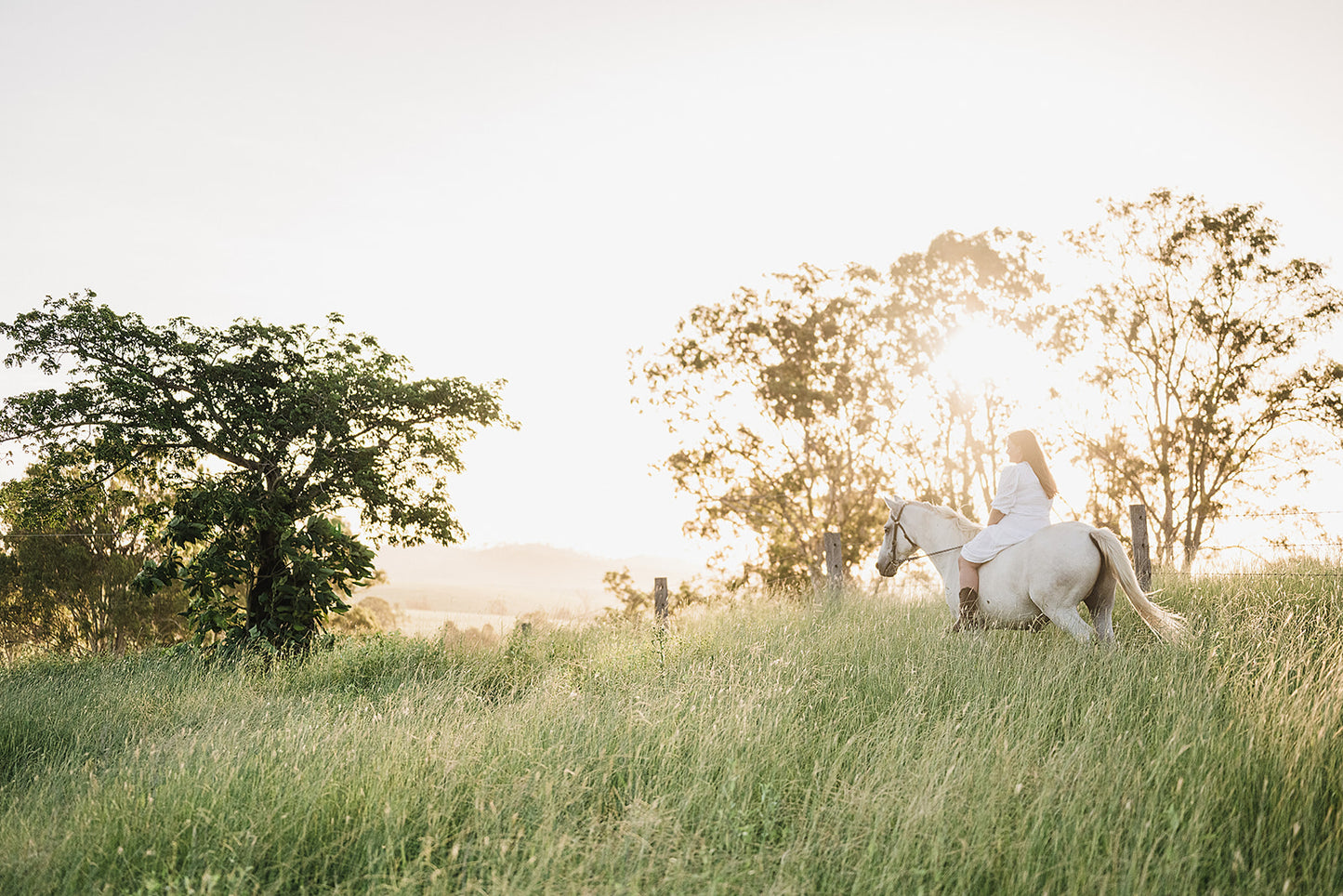 The Environmental Alchemist 