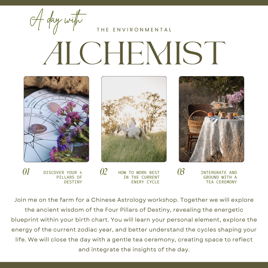 
                  
                    Feng Shui & Chinese Astrology Farm Workshops
                  
                
